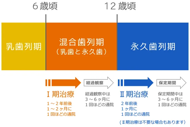 小児矯正の時期図