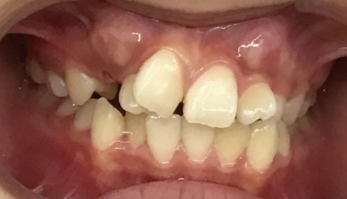 case-ortho_4a