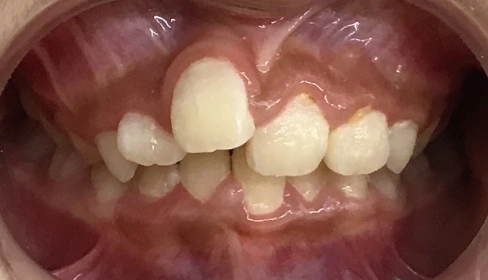 case-ortho_5a
