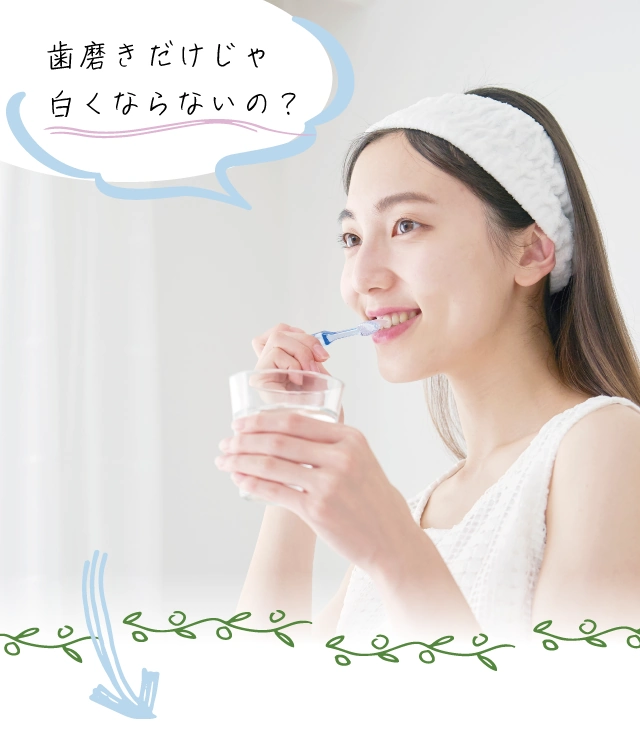 cosmetic-daytime-hamigakidake_sp