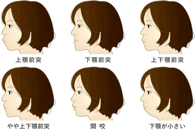 orth-seijin-ortho-3